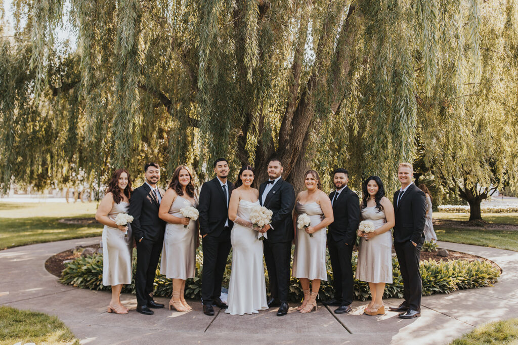 bride and groom and their elegant wedding party 