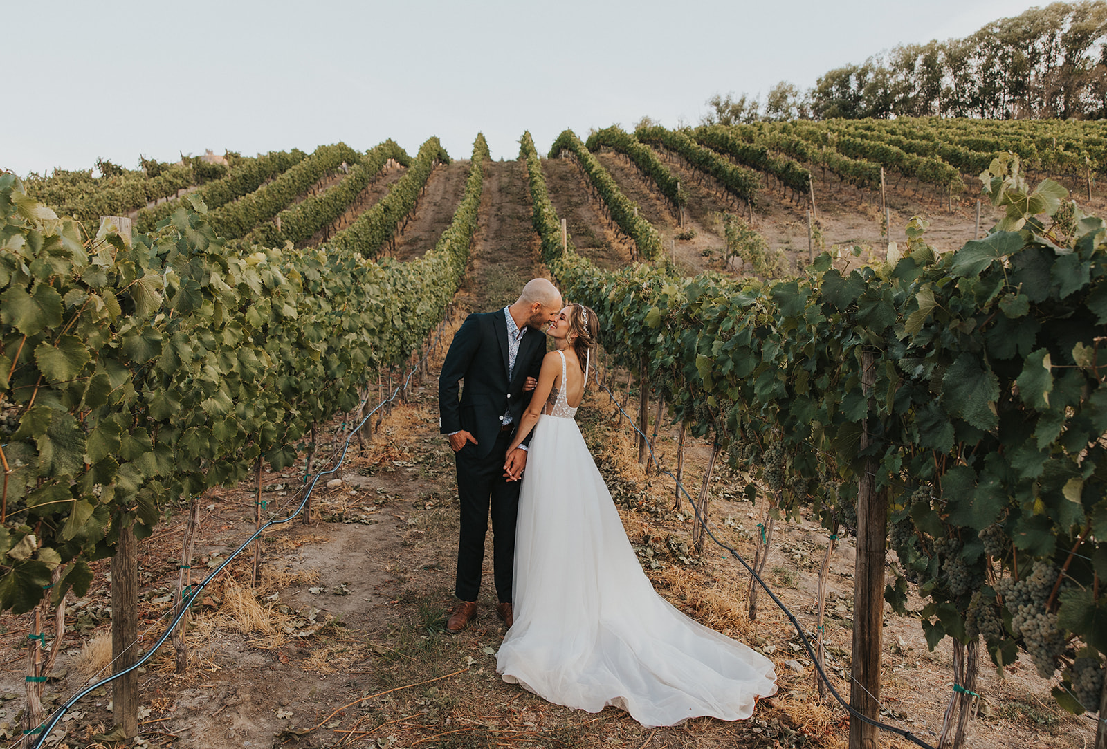 Romantic Siren Song winery wedding day