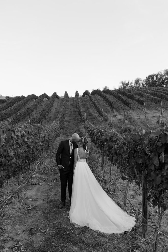 bride and groom vineyard wedding portraits