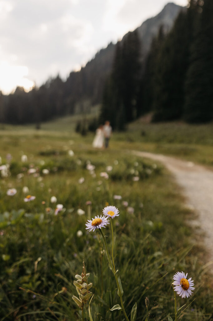 A couples photo session in the wildflowers at Mount Rainier