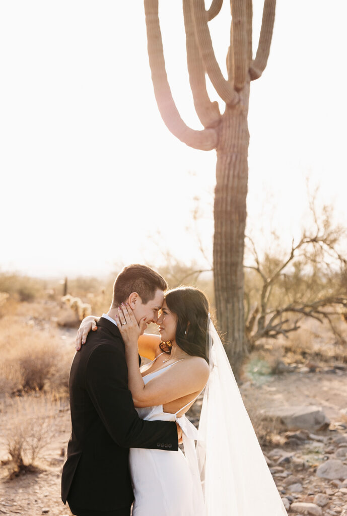 Phoenix elopement portraits with cactus