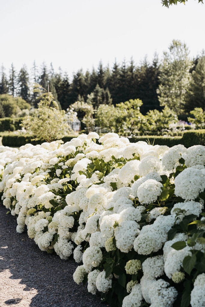 Washington wedding venue: Monet Vineyards