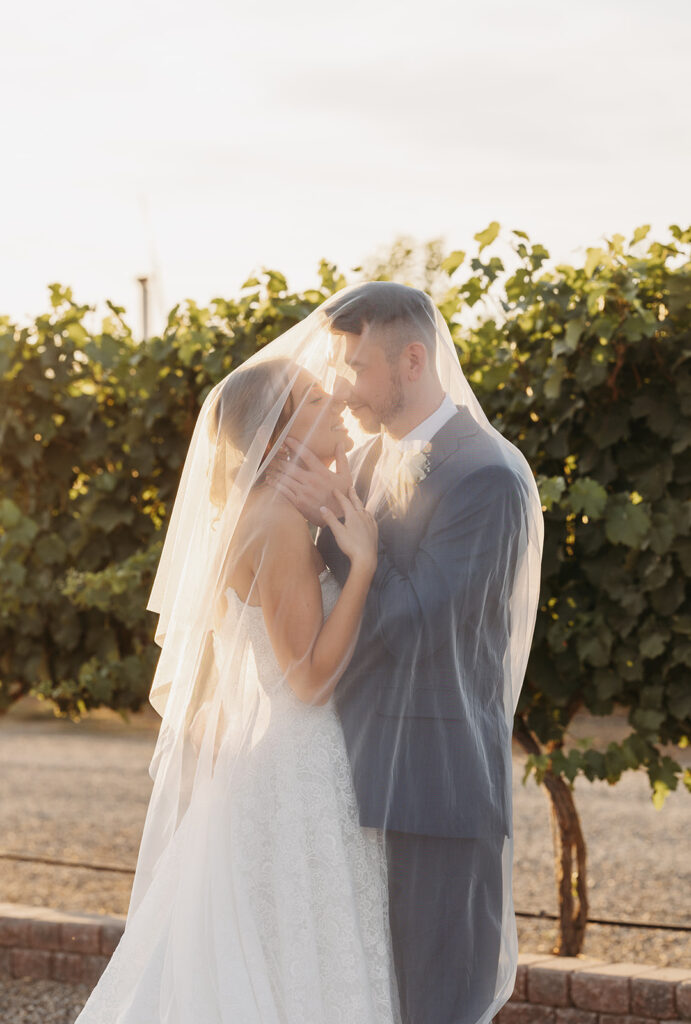 Golden hour bride and groom portraits in the Sugar Pine Barn vineyard