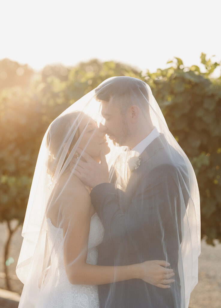 Golden hour bride and groom portraits in the Sugar Pine Barn vineyard