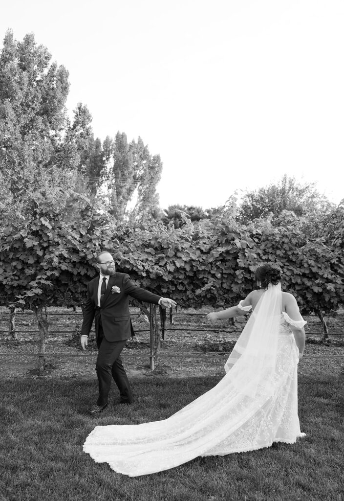 Vineyard bride and groom photos