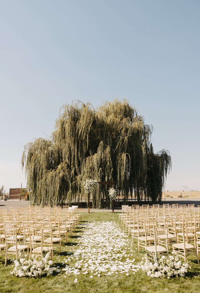 An Intentional Ceremony Space Framed by Nature