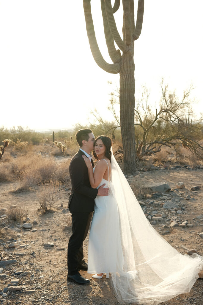 Bride and groom embracing in the Arizona desert at golden hour, with soft light, flowing veil, and natural desert landscape.