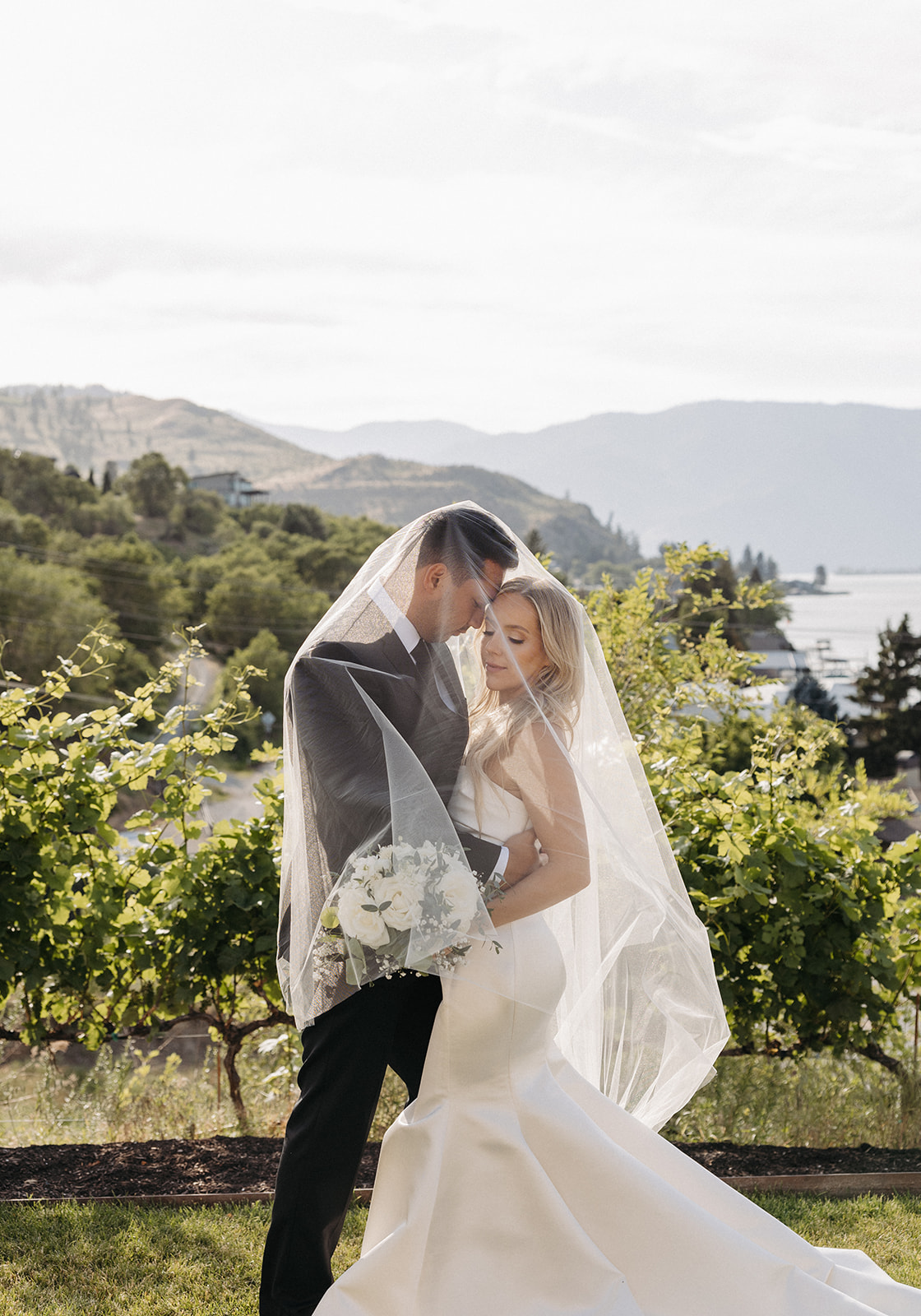 Bride and groom standing beneath a veil in a vineyard overlooking water and mountains, framed by soft natural light and greenery.